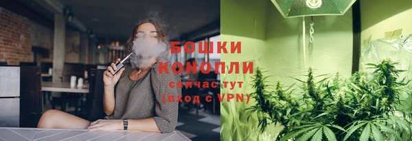 спиды Дмитриев