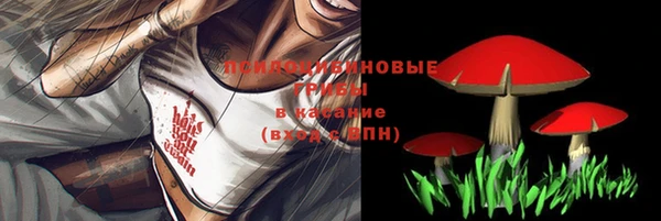 гашик Гусиноозёрск