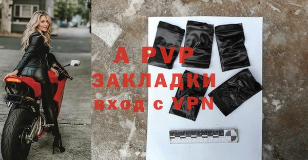 эйфоретик Гусь-Хрустальный